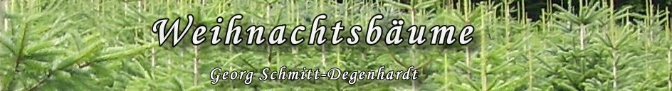 Weihnachtsbume von Georg Schmitt-Degenhardt